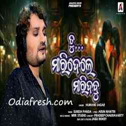 Tu Maridele Maridabu